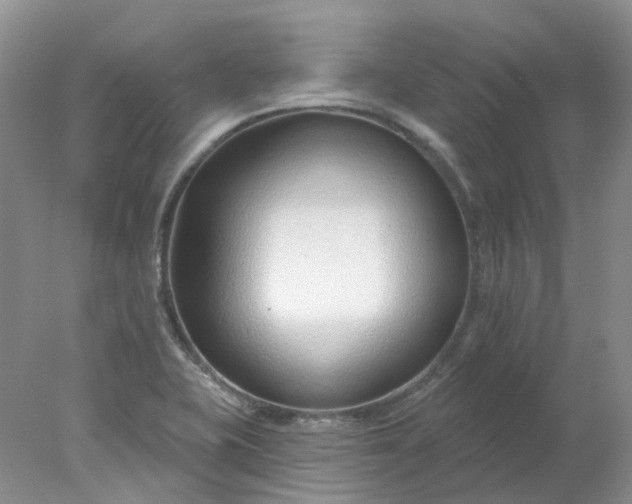 X0000078271415200611172019