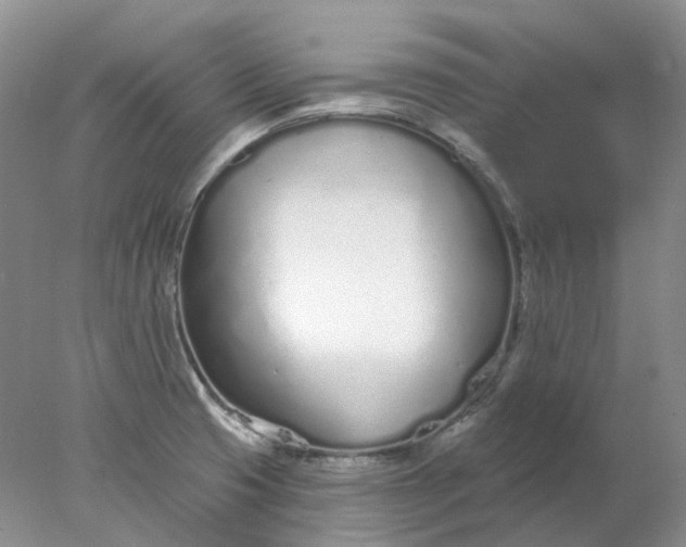 X0000078271425200611172019