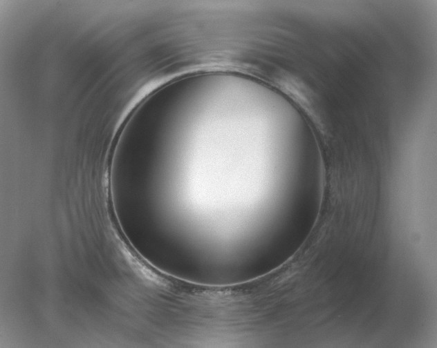 X0000078271428200611172019