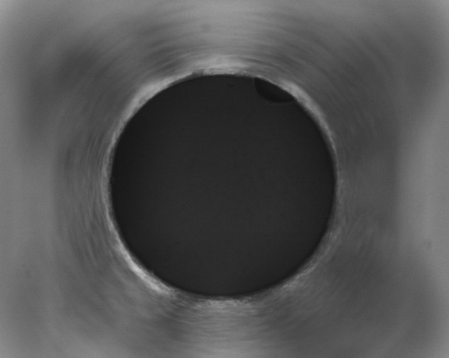 X0000078271429200611172019