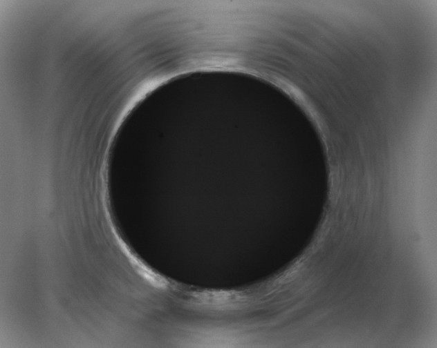 X0000078271432200611172019