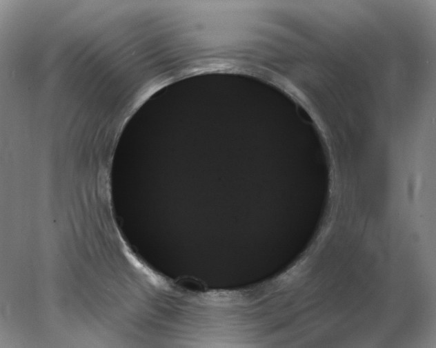 X0000078271433200611172019