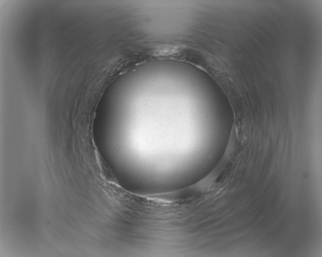 X0000078271441200611172018