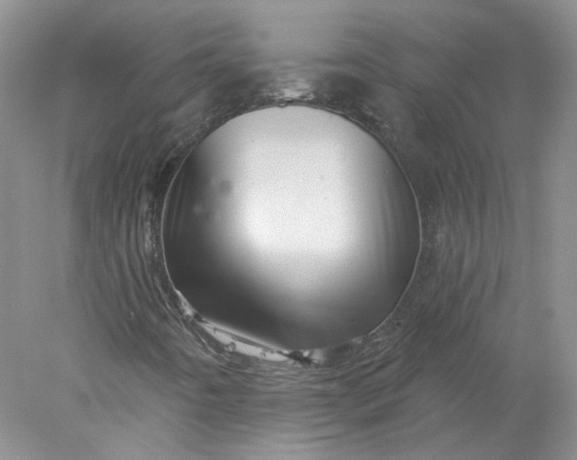 X0000078271442200611172018