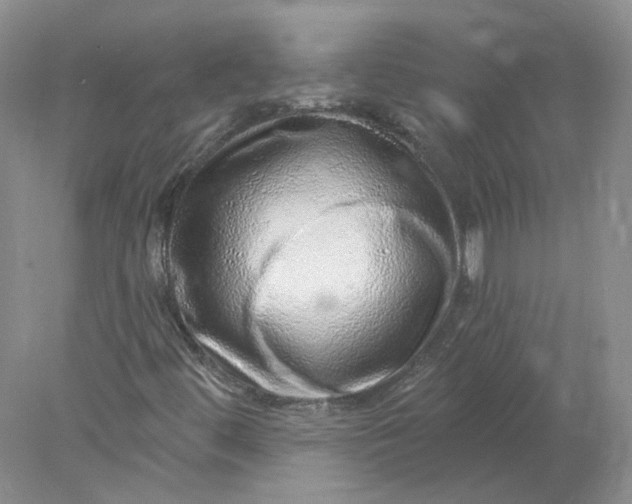 X0000078271444200611172018