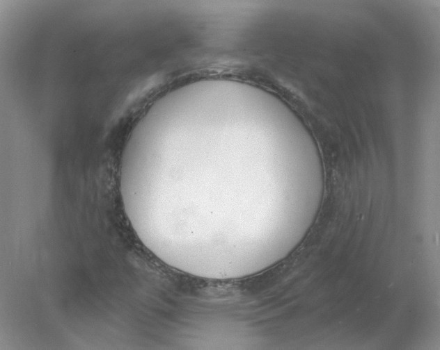 X0000078271447200611172018