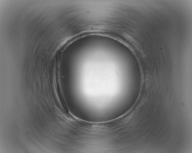X0000078271449200611172018