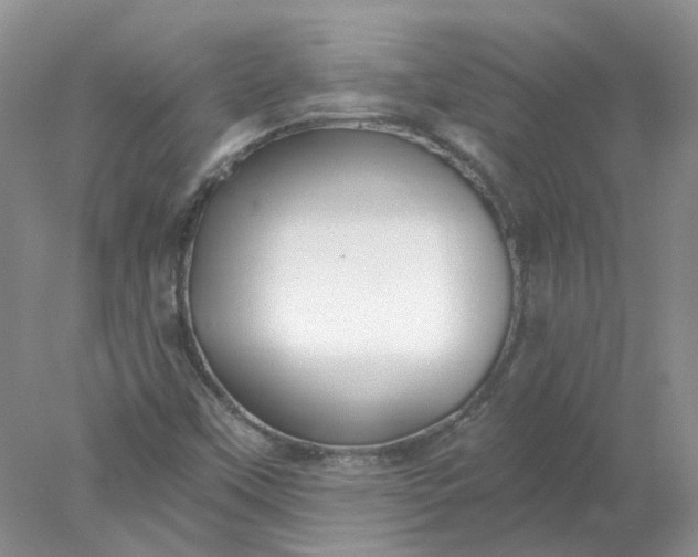 X0000078271451200611172018