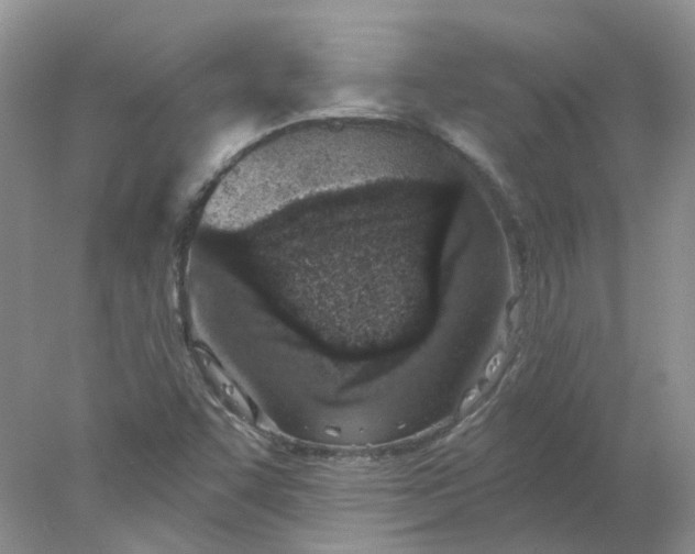 X0000078271455200611172018