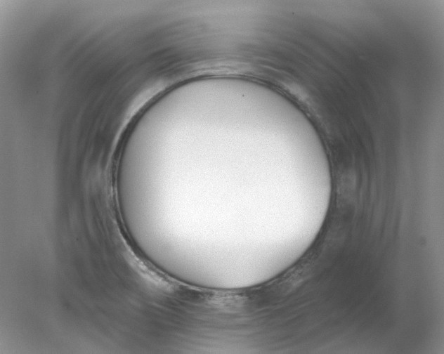 X0000078271466200611172018