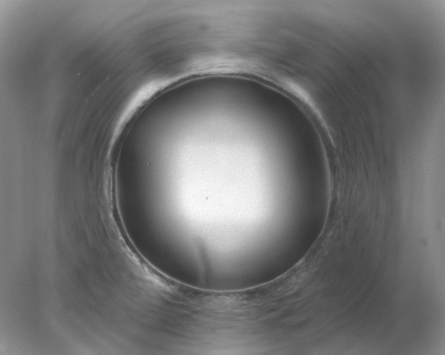 X0000078271472200611172018