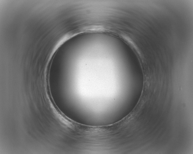 X0000078271475200611172018
