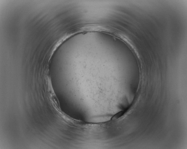 X0000078271481200611172018