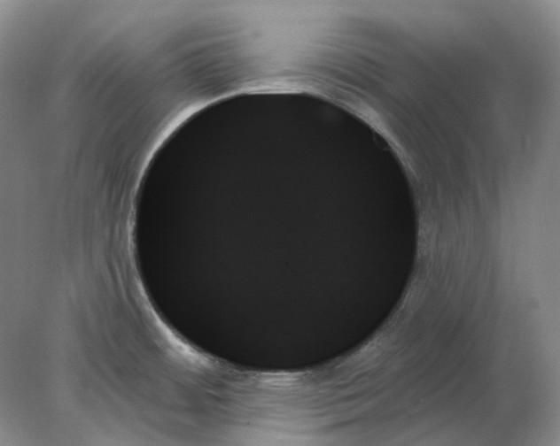 X0000078271484200611172018