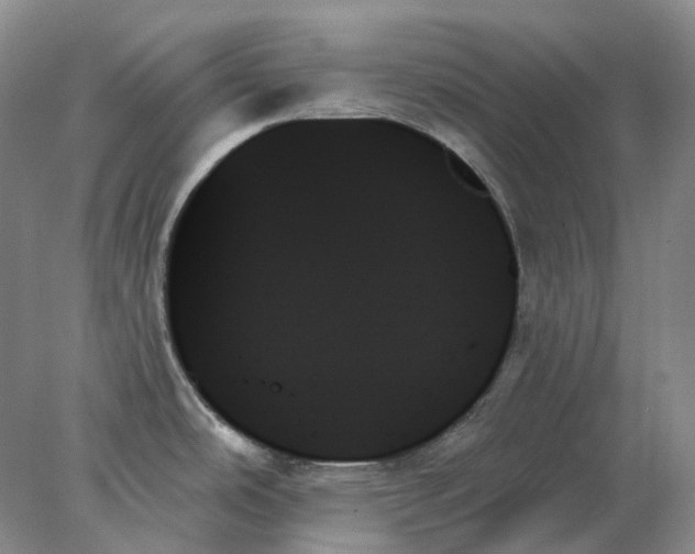 X0000078271486200611172018