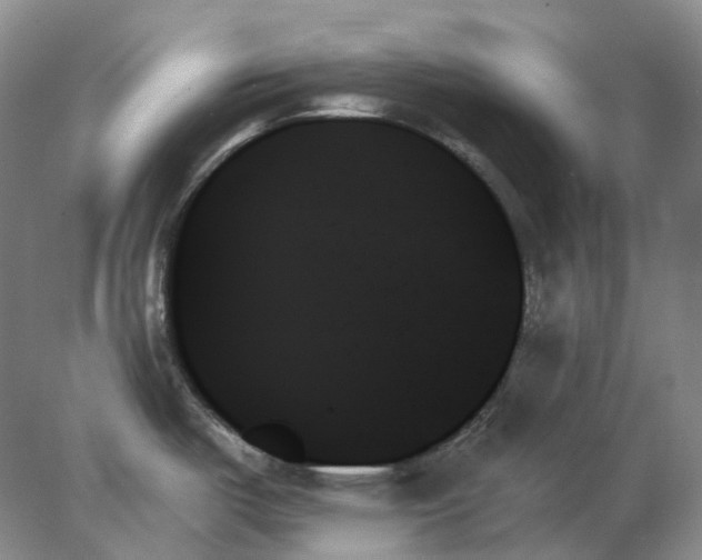 X0000078271487200611172017
