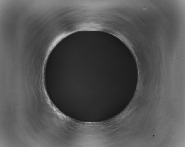 X0000078271488200611172017