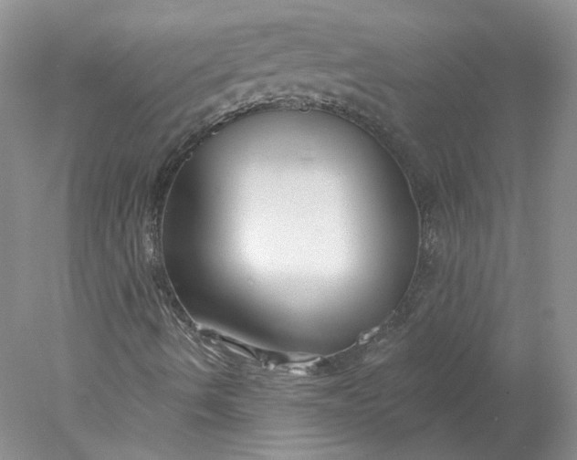 X0000078271490200611172017