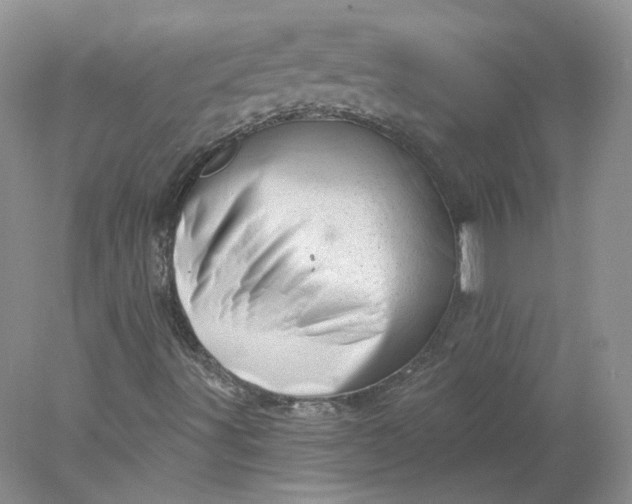 X0000078271491200611172017