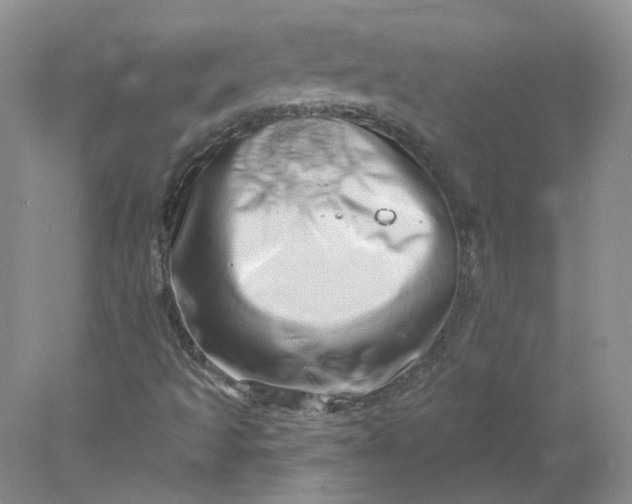 X0000078271493200611172017