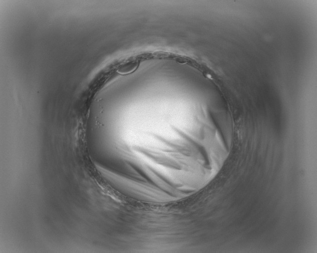 X0000078271495200611172017