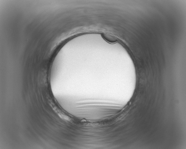 X0000078271499200611172017