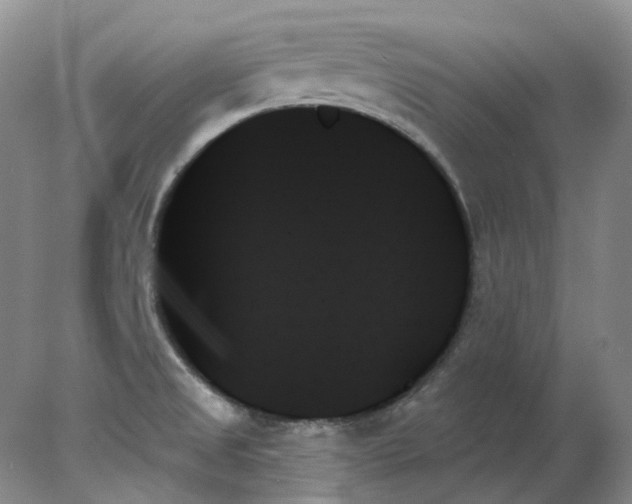 X0000078271525200611172017