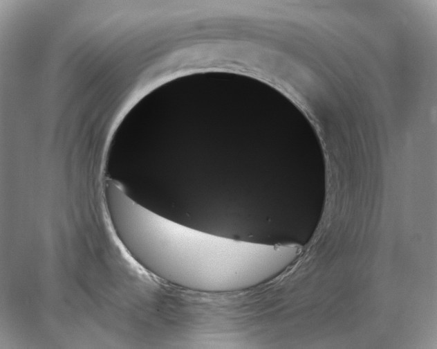 X0000078271536200611172017