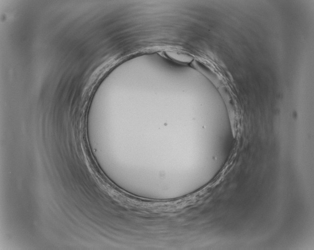 X0000078270001200611251405