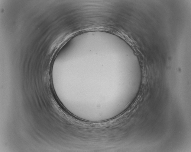 X0000078270002200611251405