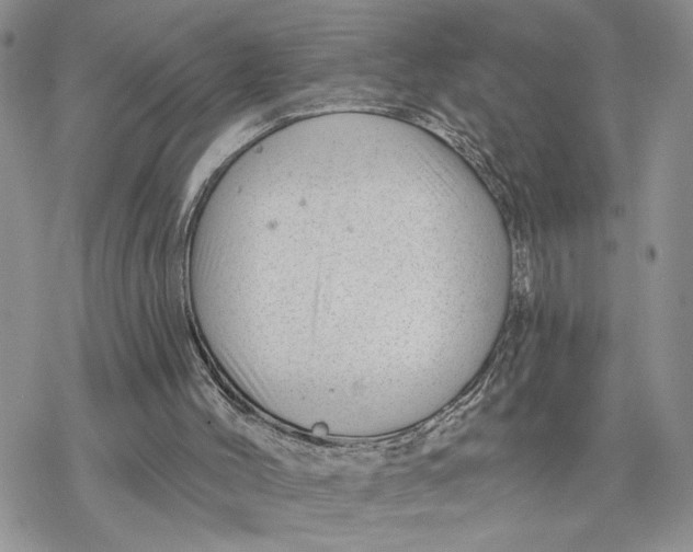 X0000078270004200611251405