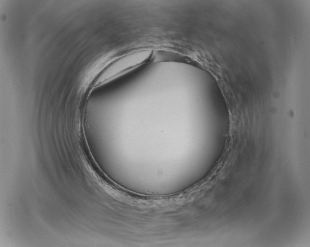 X0000078270005200611251405