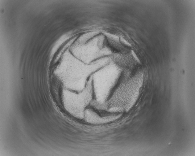 X0000078270006200611251405