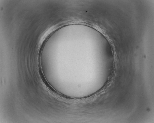 X0000078270007200611251405