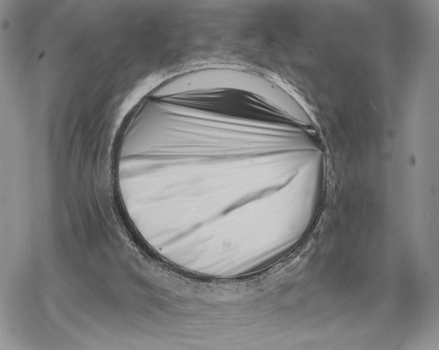 X0000078270008200611251405