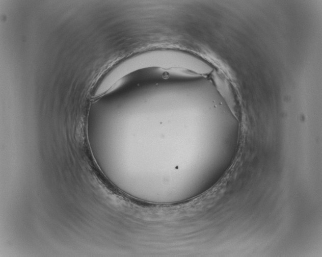 X0000078270009200611251405