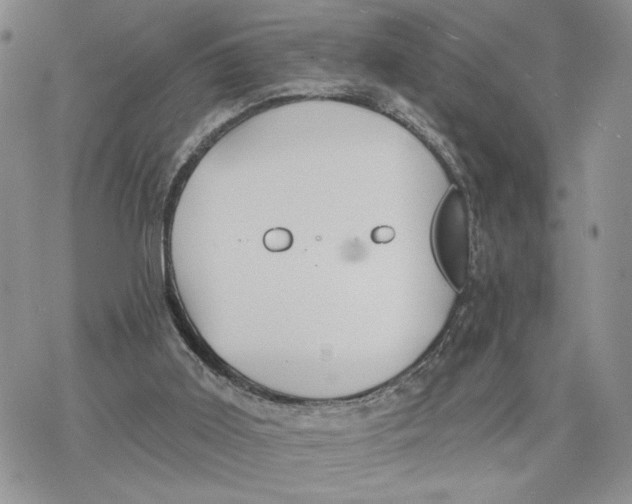 X0000078270011200611251405