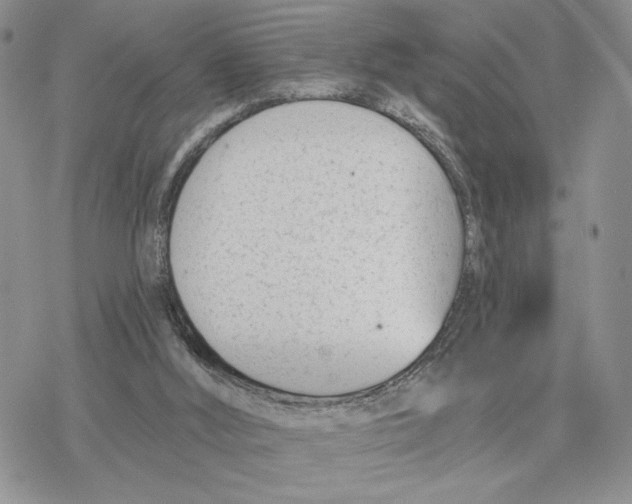 X0000078270012200611251405