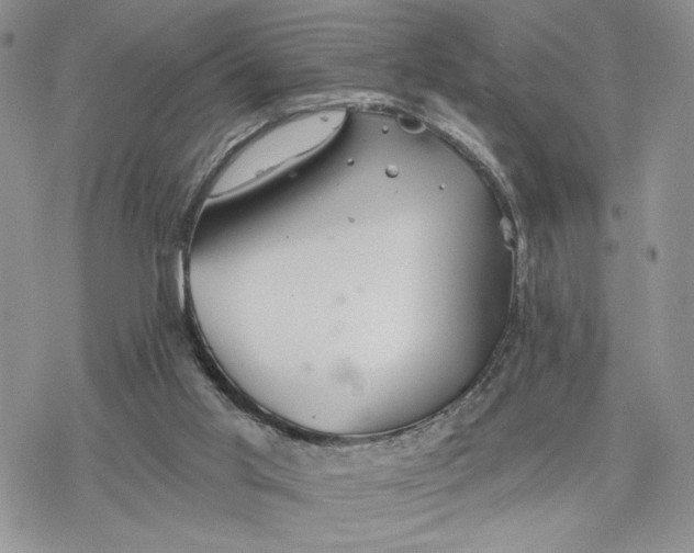 X0000078270013200611251405