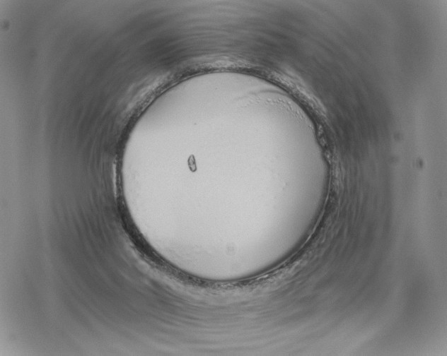 X0000078270014200611251405