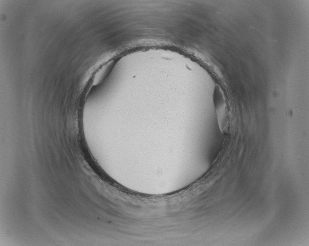 X0000078270015200611251405