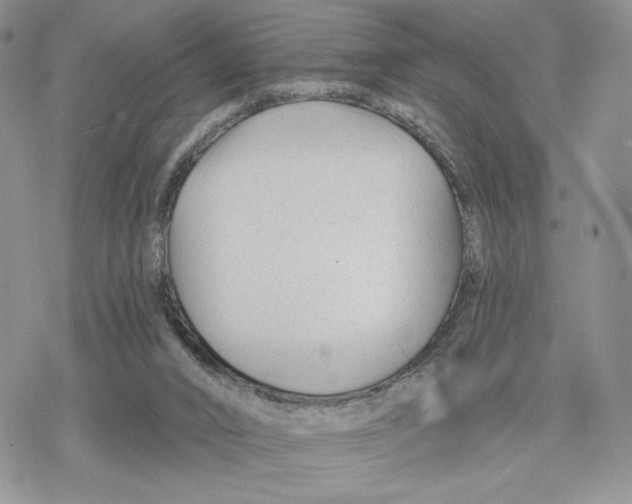 X0000078270016200611251405