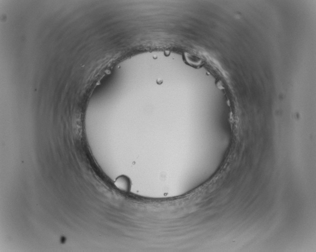 X0000078270017200611251404