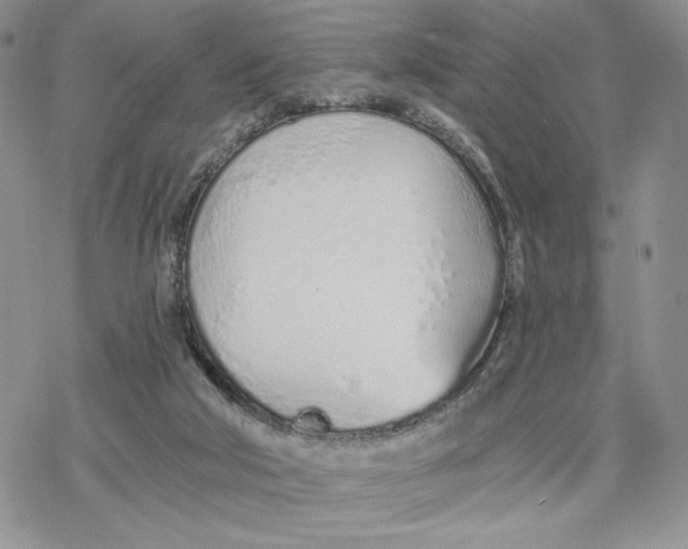 X0000078270018200611251404