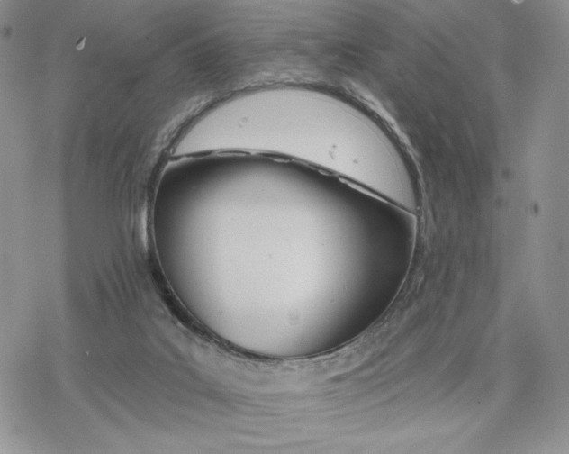 X0000078270019200611251404