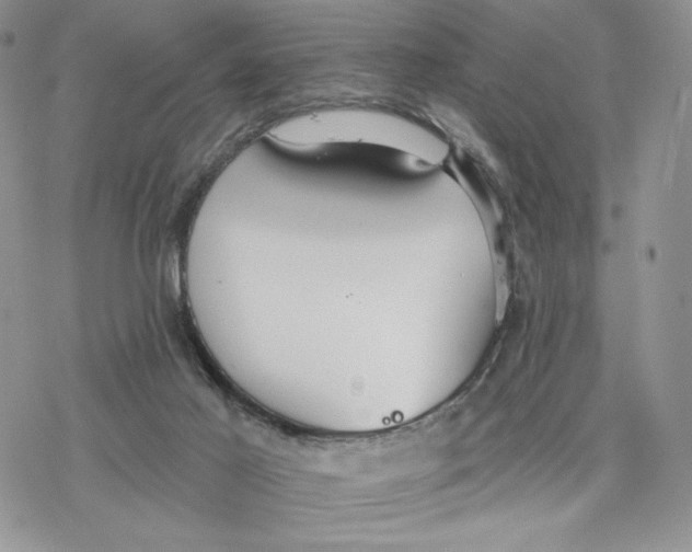 X0000078270021200611251404