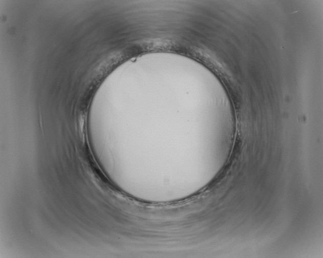 X0000078270022200611251404