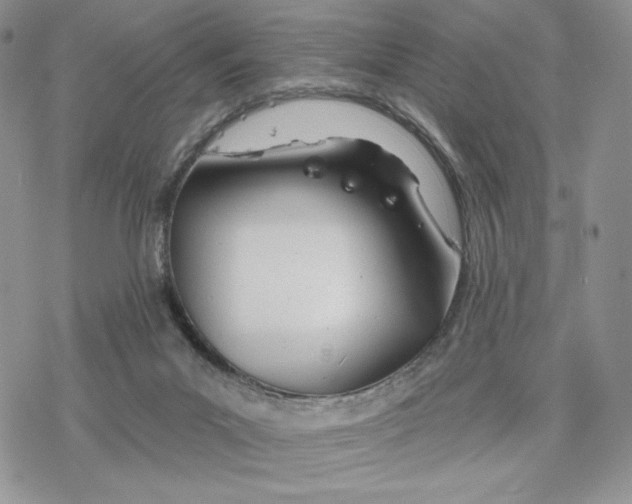 X0000078270023200611251404