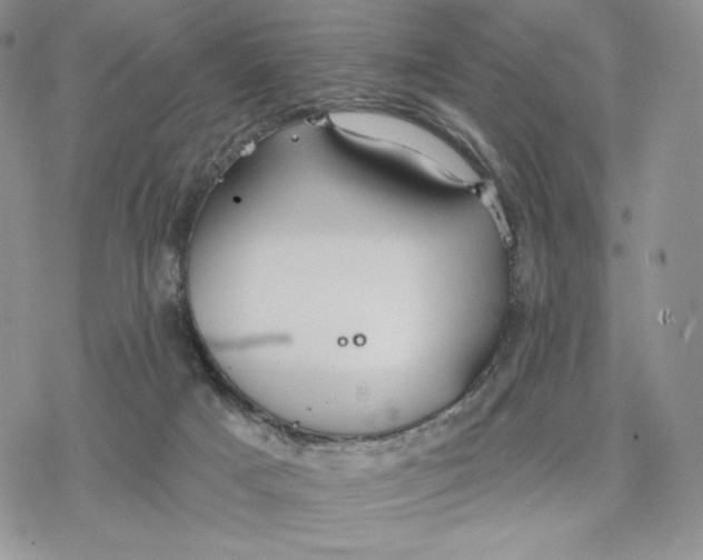 X0000078270025200611251404