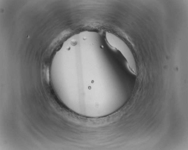 X0000078270027200611251404